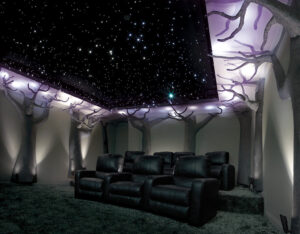 Home Theater LED Fiber Optic Star Ceiling Light Twinkle